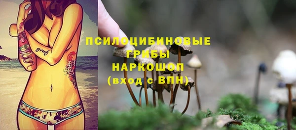 PSILOCYBIN Краснотурьинск