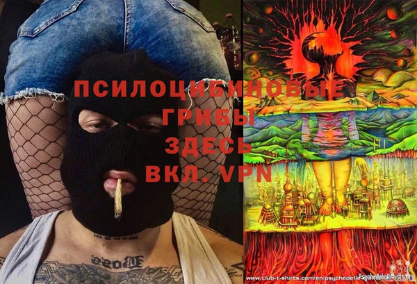 PSILOCYBIN Краснотурьинск